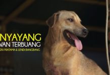 Penyayang Hewan Terbuang